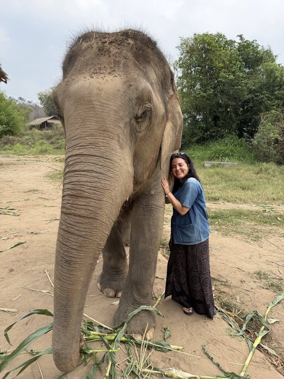 Pangea Elephant Sanctuary